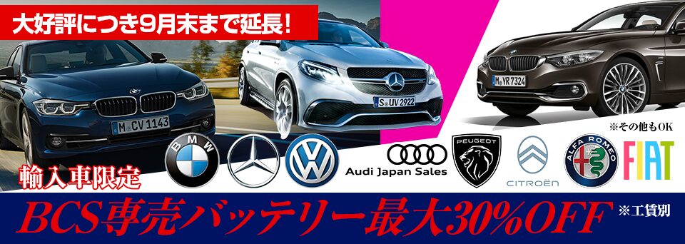 バッテリーキャンペーン